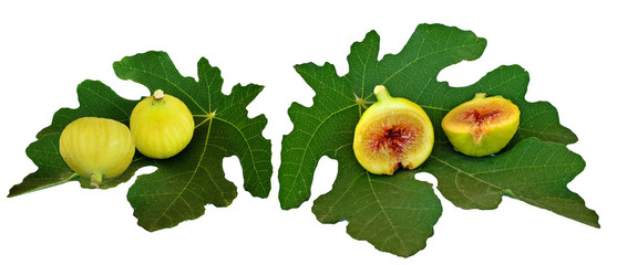 fig figs and leaf