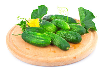 Fresh cucumber