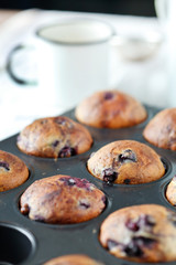 blueberries muffins