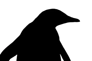 Tableaux ronds sur aluminium Pingouin silhouette of a penguin