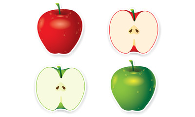 Apple vector