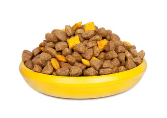 Dog dry food in a bowl
