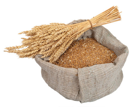 Bag with wheat grain and ears of wheat