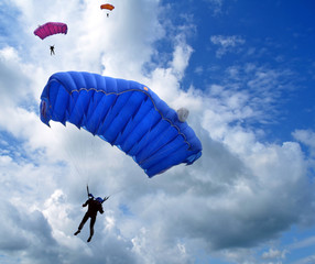 Parachutistes dans le ciel