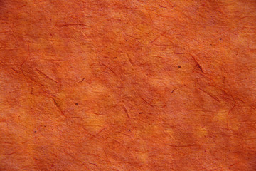 parchemin