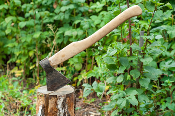 Axe in log in the garden