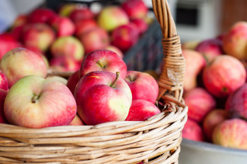 Red apples in the basket.