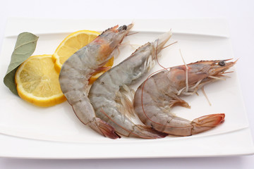 3 crevettes roses
