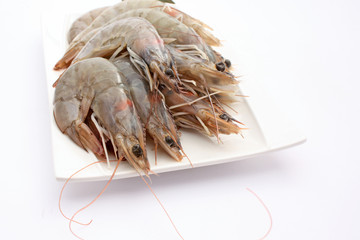 Tas de crevettes crues
