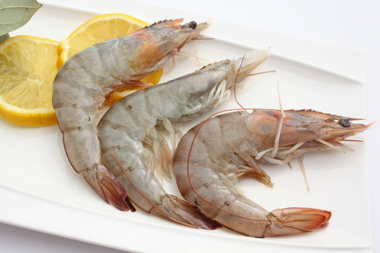 Gros plan sur les crevettes