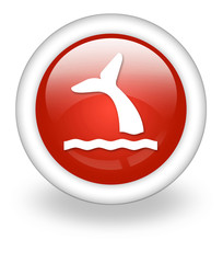 Light Red Icon 