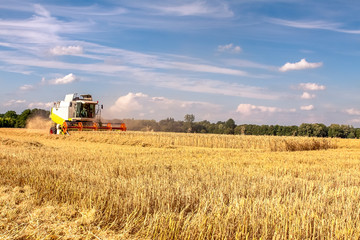 Obraz premium Erntezeit