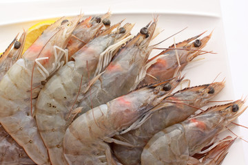 Fraicheur des gambas