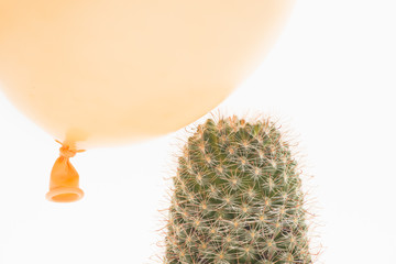 Balloon landing on a cactus