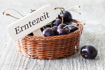 Kirschen im Korb