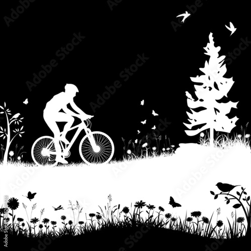 Fototapete Mountainbike Vektor Silhouette Fototapeten Wallsheaven Naturestock