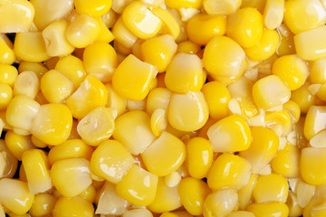 Corn seeds