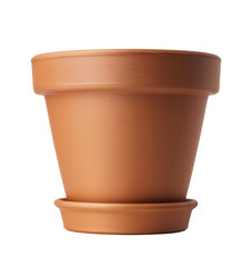 flower pot isolated on white