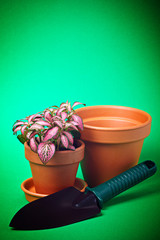 Garden trowel and flower in flower pot