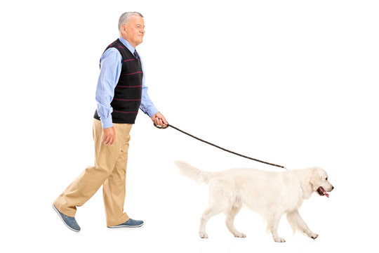 Full Length Portrait Of A Senior Man Walking A Dog