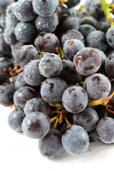 Seedless Coronation Grapes