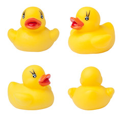 Rubber duck