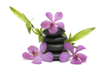 pink orchid flower and balanced stones and lucky bamboo