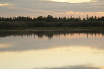 Fototapeta premium - By the River