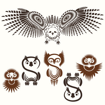 Set of various owls