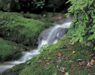 cascade in the valley