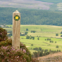 detail of public footpath post