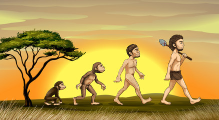 Fototapeta premium evolution of man