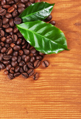 Coffee Beans