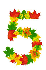 Autumn maple Leaves in the shape of number 5