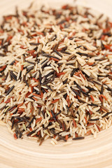 variety of rice