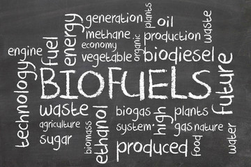 Biofuels or Biofuel
