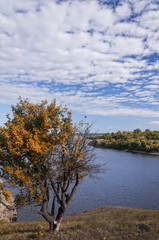 View on autumn landscape of river and trees