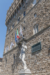 Michelangelo's David statue in Florence, Italy
