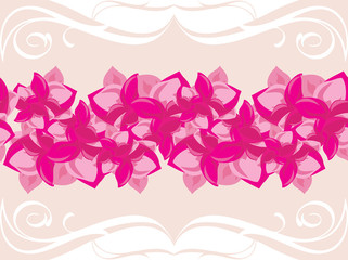 Fototapeta na wymiar Ornamental border with blooming pink flowers
