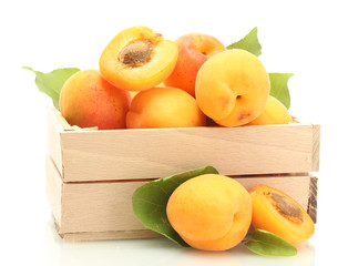 ripe apricots with green leaves in wooden box isolated on white