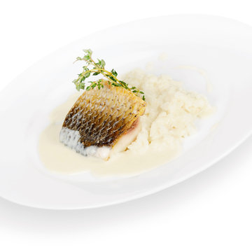 perch fillet with creamy risotto