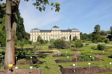 Poppelsdofer Schloss und Botanischer Garten in Bonn