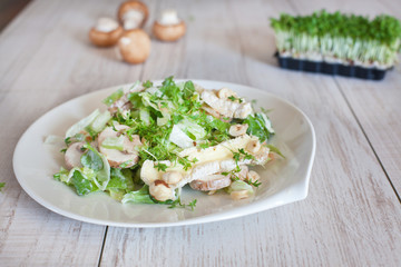 Fresh salad with and cress