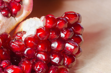 Melograno - Punica granatum