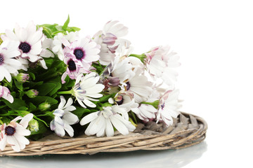 bouquet of beautiful summer flowers, isolated on white