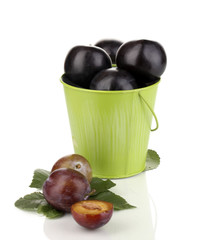 Rip plums in pail isolated on white
