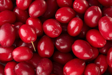 fresh cornel berries close-up