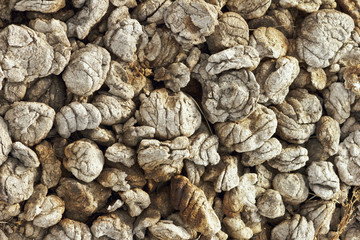 Background from pieces casings