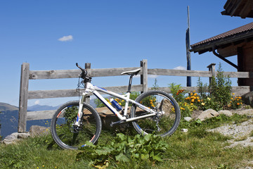 Mountain bike in Alto Adige
