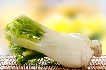 Fennel Up Close